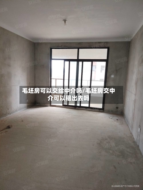 毛坯房可以交给中介吗/毛坯房交中介可以租出去吗