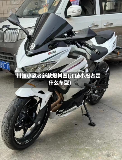 川崎小忍者新款爆料图(川崎小忍者是什么车型)