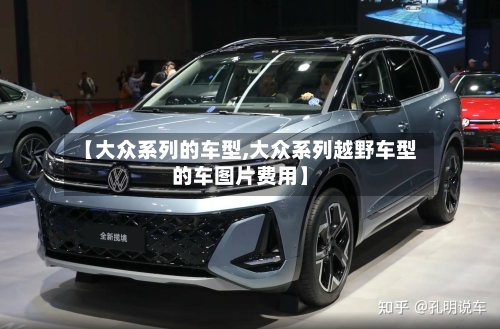 【大众系列的车型,大众系列越野车型的车图片费用】