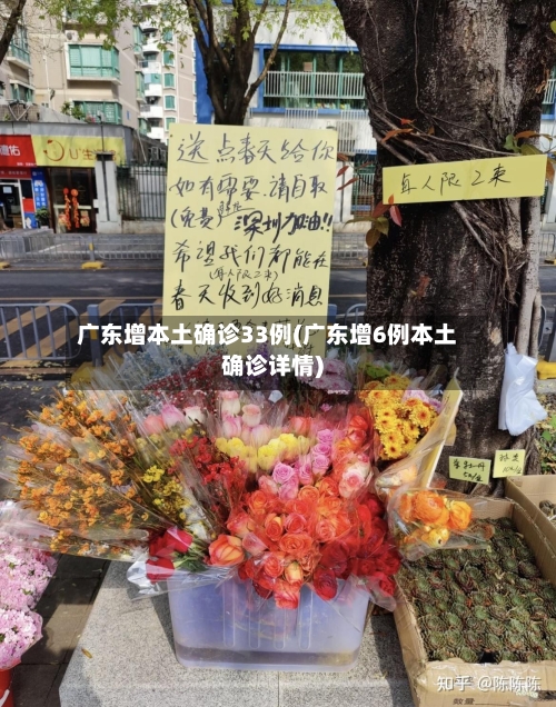 广东增本土确诊33例(广东增6例本土确诊详情)