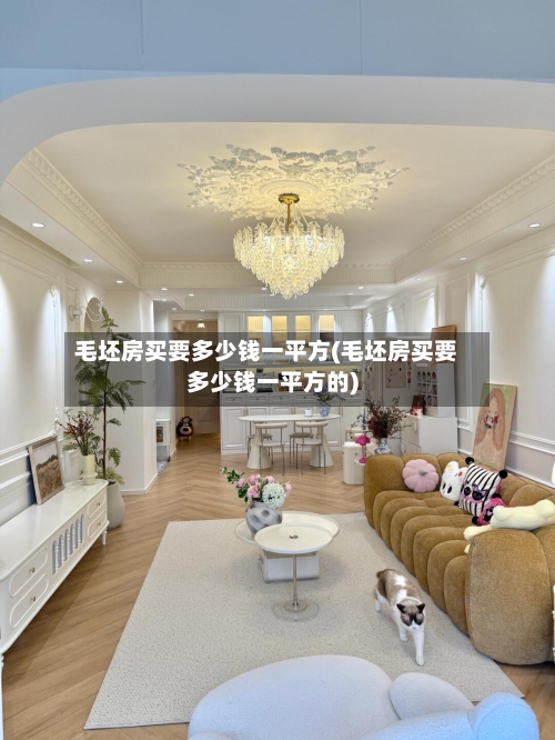 毛坯房买要多少钱一平方(毛坯房买要多少钱一平方的)