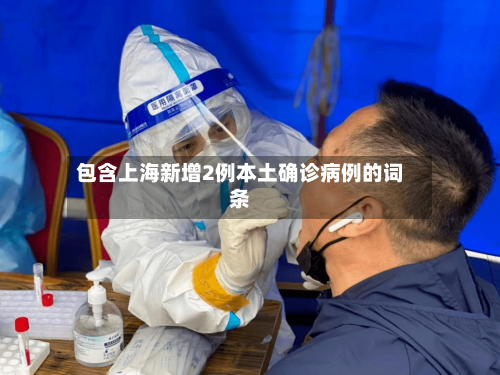 包含上海新增2例本土确诊病例的词条