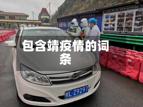 包含靖疫情的词条-第3张图片